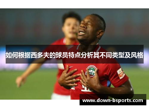 如何根据西多夫的球员特点分析其不同类型及风格