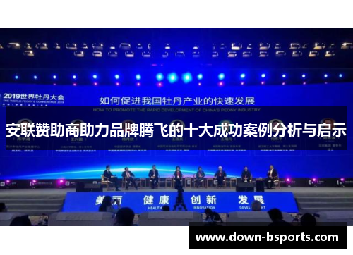 安联赞助商助力品牌腾飞的十大成功案例分析与启示