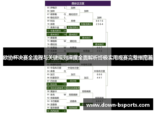 欧协杯决赛全流程与关键规则深度全面解析终极实用观赛完整指南篇